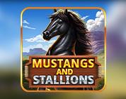 Mustang and Stallions Mustang and Stallions